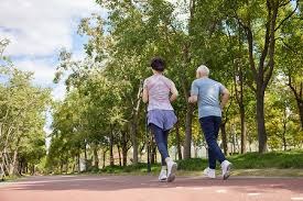 植物大战僵尸杂交版2.1有哪些新僵尸 植物大战僵尸杂交版2.1新僵尸图鉴一览