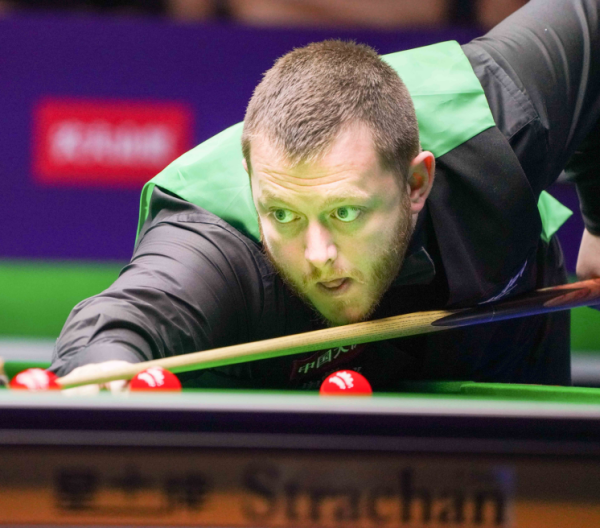 观众和参与 观众和参与