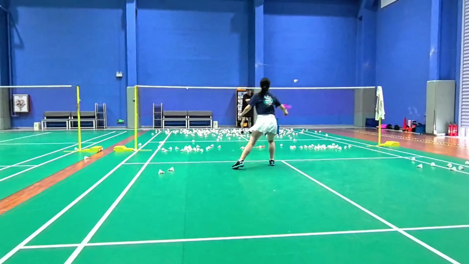 带来了新的 带来了新的