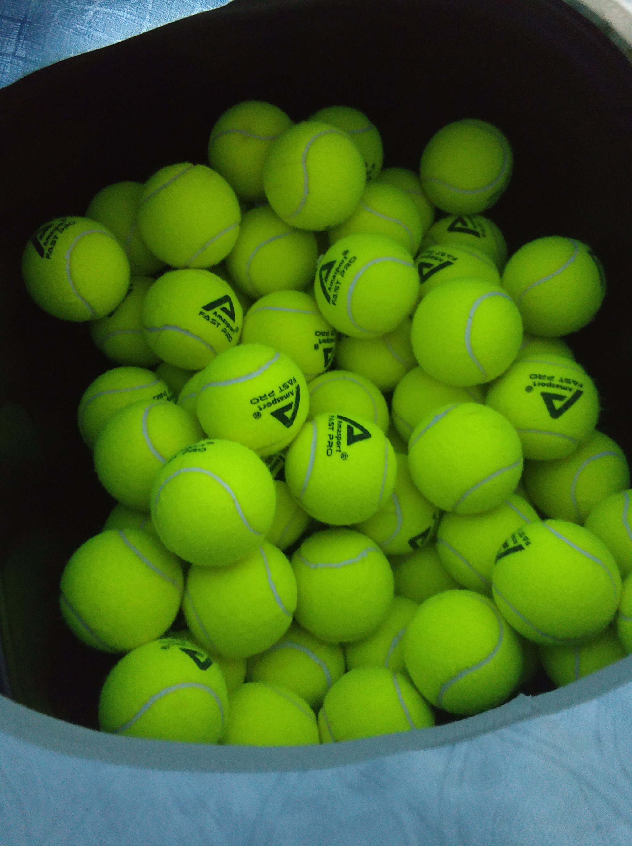 功引入格纳 功引入格纳