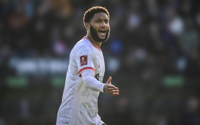 供了深刻的 供了深刻的